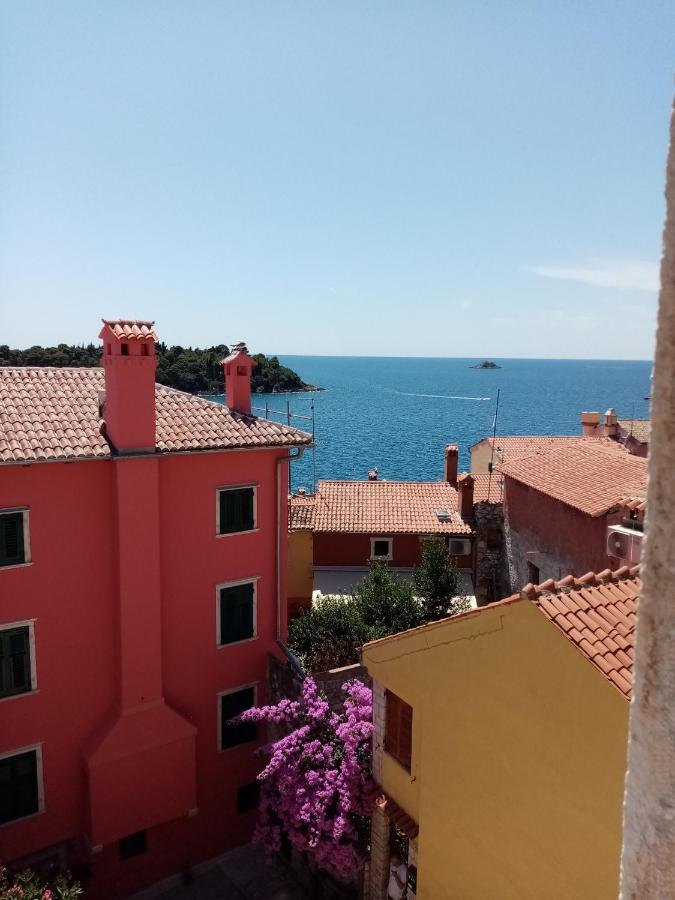 Appartement Casa Di Marko 105 M2 Garden à Rovinj Extérieur photo